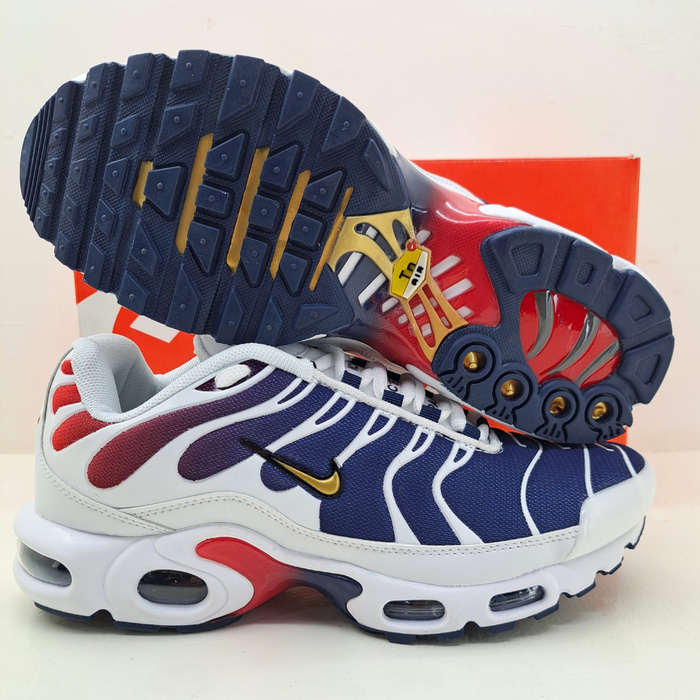Nike TN Plus Vietnã importado - PSG